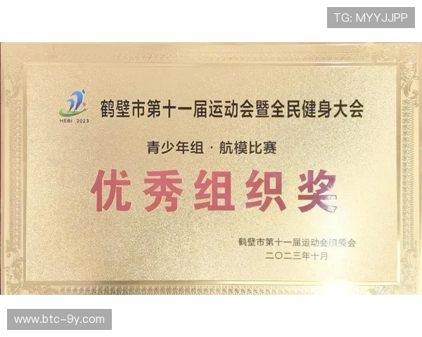 鹤壁市赛优秀组织奖揭晓，两小学获表彰